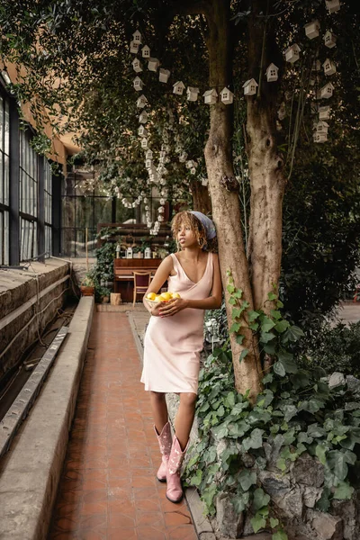 Повна довжина молодої афроамериканки в літній сукні і хедкарф тримає кошик зі свіжими лимонами, стоячи біля дерев в оранжереї, стильна жінка з тропічними рослинами на фоні — стокове фото