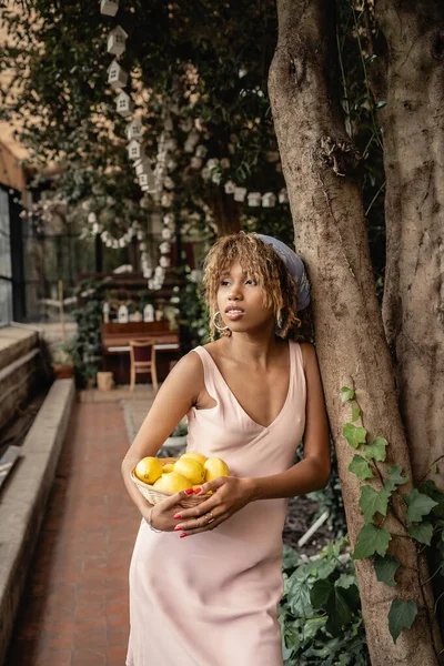 Mujer afroamericana joven de moda en pañuelo para la cabeza y vestido de verano que sostiene la cesta con limones frescos mientras está de pie cerca de los árboles en la naranjería, mujer elegante con plantas tropicales en el telón de fondo - foto de stock