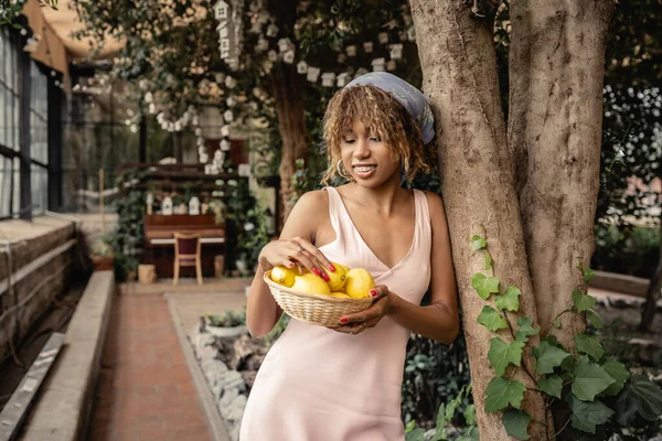 Mulher americana africana alegre com aparelho em véu e vestido de verão olhando limões frescos em cesta e de pé perto de árvores no jardim interior, mulher elegante com plantas tropicais no pano de fundo — Fotografia de Stock