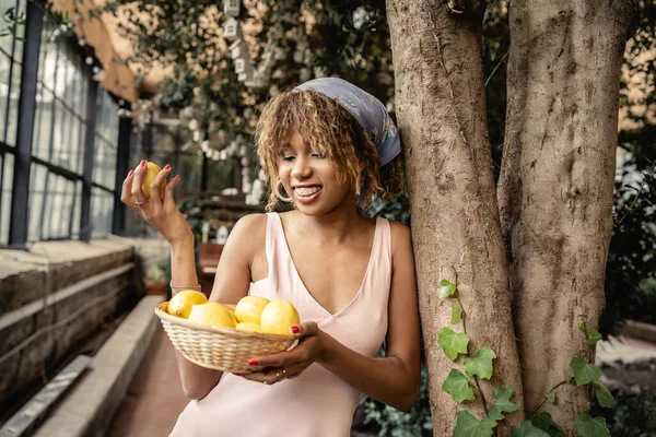 Mujer joven afroamericana sonriente con aparatos ortopédicos con traje de verano y cesta con jugosos limones mientras está de pie cerca de los árboles en naranjería, dama de moda en armonía con la flora tropical - foto de stock