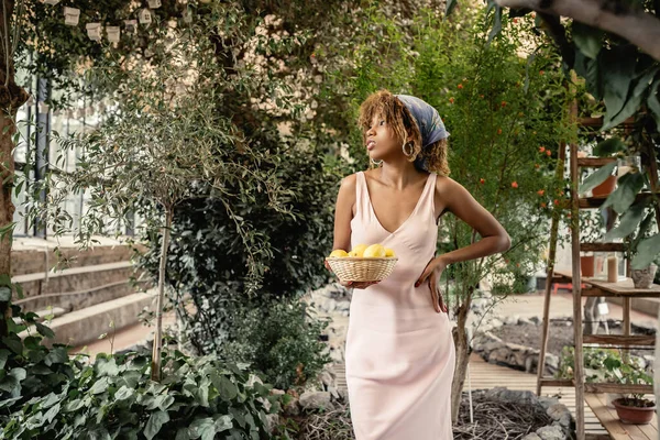 Mujer afroamericana joven de moda en traje de verano cogida de la mano en la cadera y la cesta con limones frescos y de pie en la naranjería, señora de la moda hacia adelante en armonía con la flora tropical, concepto de verano - foto de stock