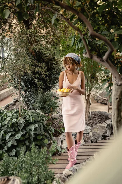 Femme afro-américaine pleine longueur en tenue d'été et bottes regardant panier avec des citrons mûrs et marchant dans le jardin intérieur, femme en tenue d'été posant près de plantes tropicales luxuriantes — Photo de stock