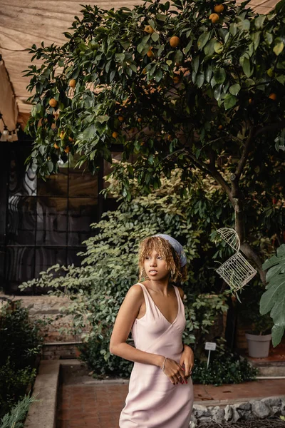 Femme afro-américaine confiante en foulard et robe d'été détournant les yeux tout en passant du temps près de citronnier et de plantes en orangerie, femme en tenue d'été posant près de plantes tropicales luxuriantes — Photo de stock
