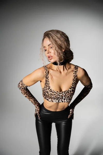 Sexuality and confidence, appealing woman with wavy ash blonde hair standing with hands on hips and posing in animal print crop top, long gloves and black latex pants on grey background — Stock Photo
