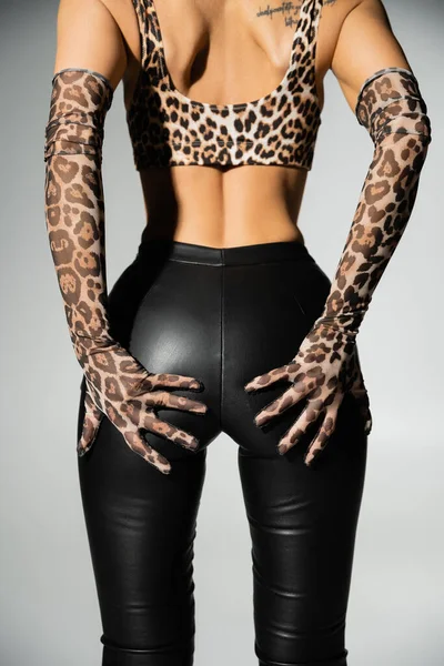 Seduction and fashion, cropped view of provocative and slender woman in black latex pants, animal print crop top and long gloves posing on grey background and touching sexy buttocks — Stock Photo