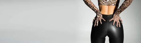 Sexy fashion trend, partial view of seductive female model in leopard print gloves, crop top and black latex pants touching sexy buttocks while standing on grey background, banner with copy space — Stock Photo