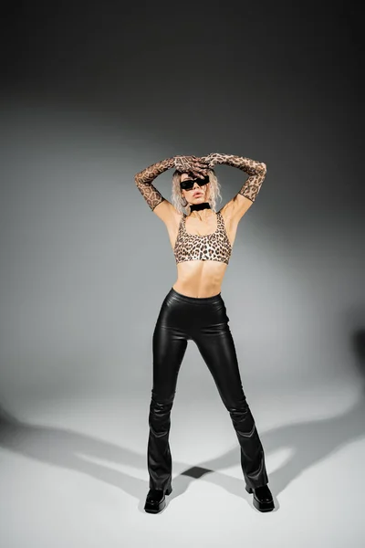 Sexuality and fashion, full length of expressive woman in dark sunglasses, leopard print crop top, long gloves and black latex pants standing with hands above head on grey background — Stock Photo
