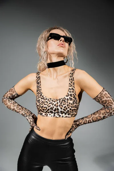 Mujer provocativa con el cuerpo sexy y la ceniza ondulada pelo rubio de pie con las manos en las caderas mientras posan en gafas de sol oscuras, top estampado de leopardo, guantes largos y pantalones de látex negro sobre fondo gris - foto de stock