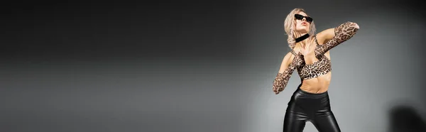 Mujer provocativa y sexy en traje de moda posando sobre fondo negro y gris, pelo rubio ceniza ondulada, gafas de sol oscuras, top de impresión animal, guantes largos, pantalones de látex negro, pancarta con espacio para copiar - foto de stock