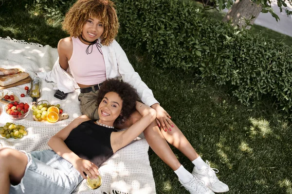 Novias afroamericanas sonriendo a la cámara en el parque, picnic de verano con aperitivos y vino - foto de stock