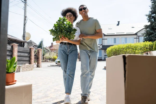 Alegre casal afro-americano segurando planta de sala perto de caixas de papelão durante a realocação ao ar livre — Fotografia de Stock