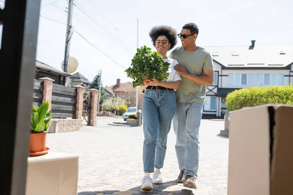 Позитивна афроамериканська пара тримає кімнатну рослину біля картонних коробок під час переміщення на відкритому повітрі — стокове фото