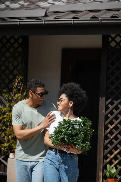 Souriant afro-américain dans des lunettes de soleil étreignant petite amie avec plante d'intérieur près de nouvelle maison — Photo de stock
