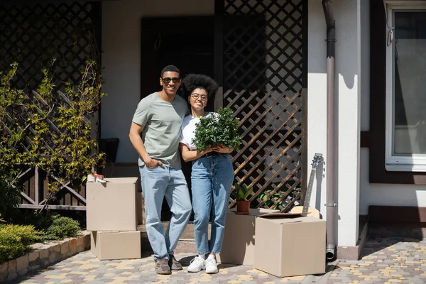 Positiva coppia afro-americana con pianta d'appartamento in piedi vicino scatole di cartone e nuova casa — Foto stock