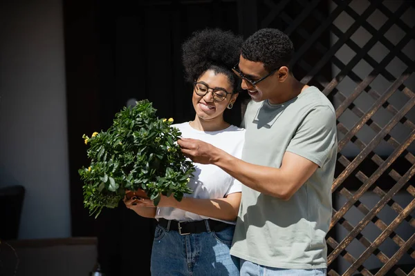 Весела афро-американська пара тримає кімнатну рослину, стоячи біля нового будинку на відкритому повітрі — стокове фото