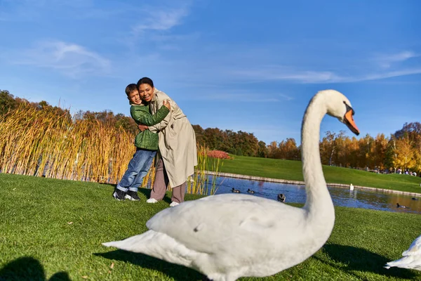 Позитивна афроамериканська мати і син у верхньому одязі дивиться на лебедів біля ставка в парку, осінь — стокове фото