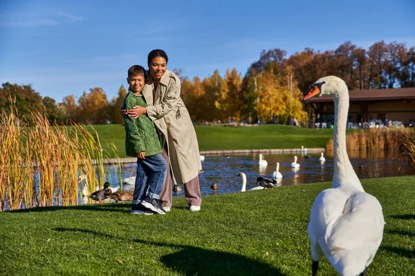 Feliz mulher afro-americana abraçando filho e olhando para cisne branco no parque, moda outono, ensolarado — Fotografia de Stock