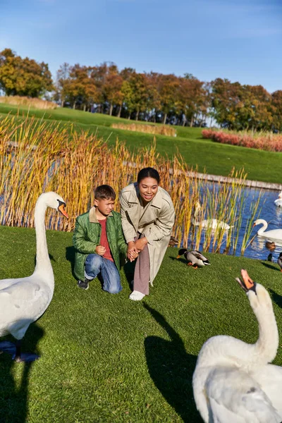Cheerful african american woman in outerwear hugging son and gesturing near white swan in park — Stock Photo