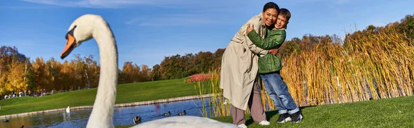 Feliz mulher afro-americana abraçando filho e olhando para cisne branco no parque, outono, lagoa, bandeira — Fotografia de Stock