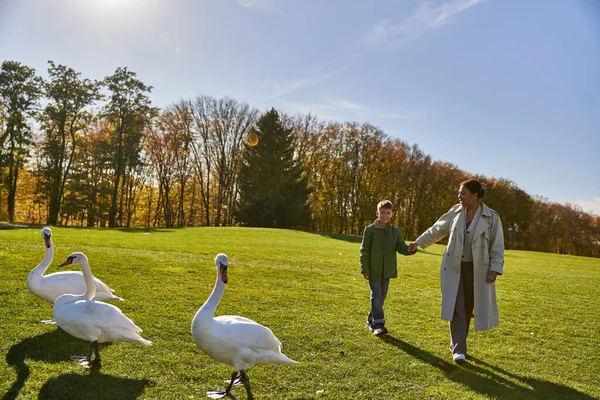 Happy african american woman in outerwear walking with son near swans in park, autumn, holding hands — Stock Photo