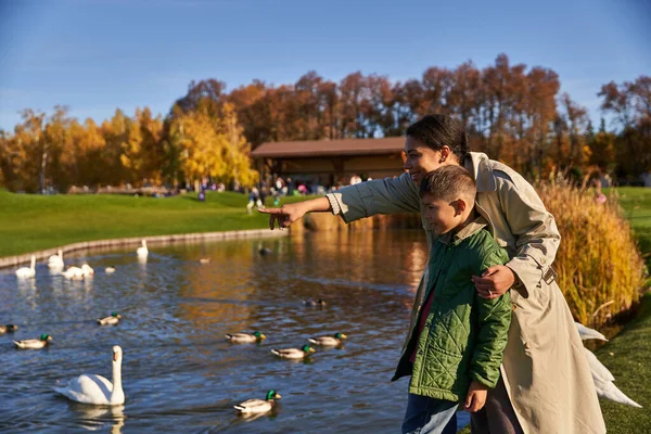 Vinculación, mujer afroamericana feliz señalando con el dedo a los cisnes en el estanque, madre e hijo, sonrisa - foto de stock