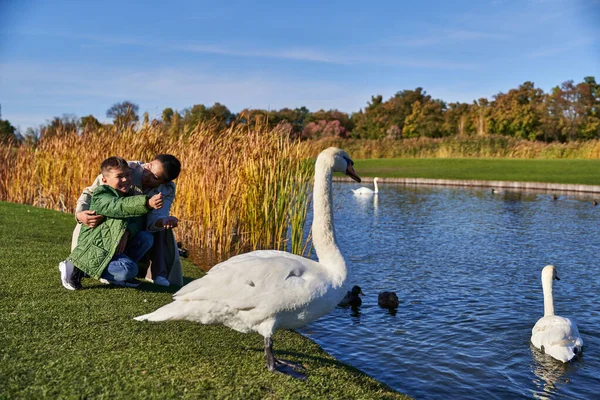 Bonding, cheerful african american woman hugging boy, white swans in pond, mother and son, smile — Stock Photo