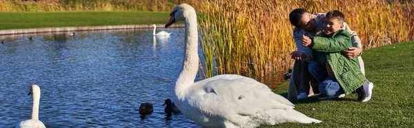 Bonding, cheerful african american woman hugging boy, white swans in pond, mother and son, banner — Stock Photo