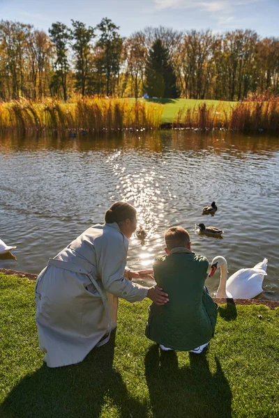 Vista posterior de la mujer afroamericana y el niño mirando el lago con patos y cisnes, la infancia, la alegría - foto de stock