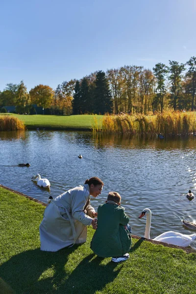 Autumnal, african american woman and boy looking at lake with ducks and swans, childhood, joy — Stock Photo