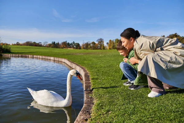 Paisaje, otoño, mujer afroamericana y niño mirando al lago con cisne blanco, infancia, naturaleza - foto de stock