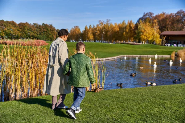 Vue arrière de la mère et du fils en vêtements de dessus marchant ensemble près du lac avec des cygnes et des canards, la nature — Photo de stock