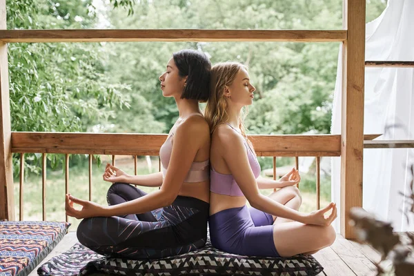 Vista lateral de mujeres jóvenes practicando yoga, meditando en pose de loto con los ojos cerrados, patio acogedor - foto de stock