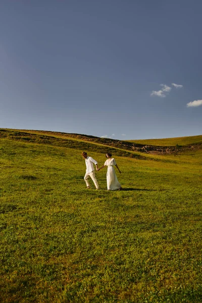 Landschaftlich reizvolle Landschaft, frisch verheiratete Paare, die auf der grünen Wiese spazieren, junge Brautpaare im Brautkleid — Stockfoto
