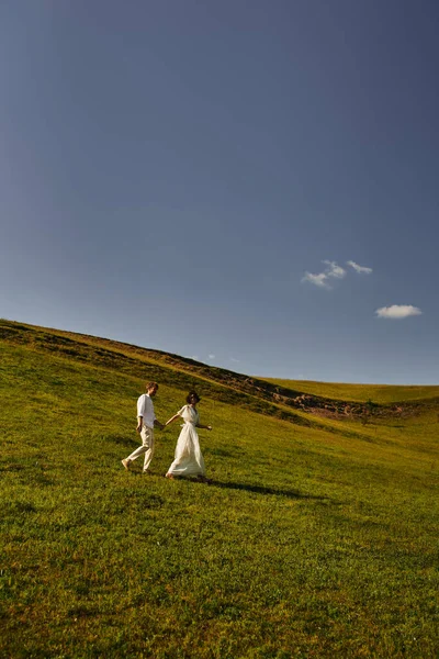 Scenic landscape, young newlyweds in wedding gown walking in green field, just married couple — Stock Photo