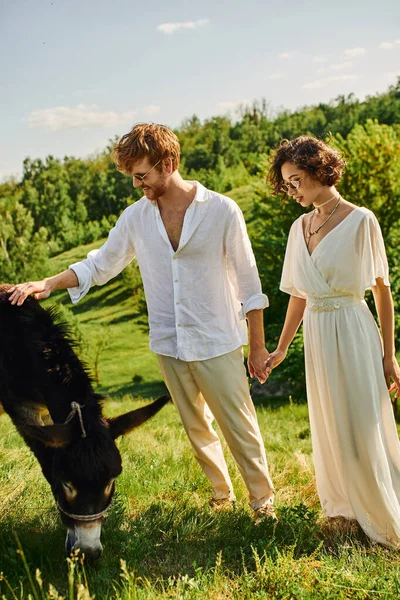 Rustic wedding, interracial newlyweds in sunglasses holding hands near donkey grazing in green field — Stock Photo