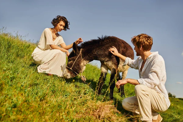 Just married multiethnic couple stroking donkey grazing on meadow in countryside, love and serenity — Stock Photo