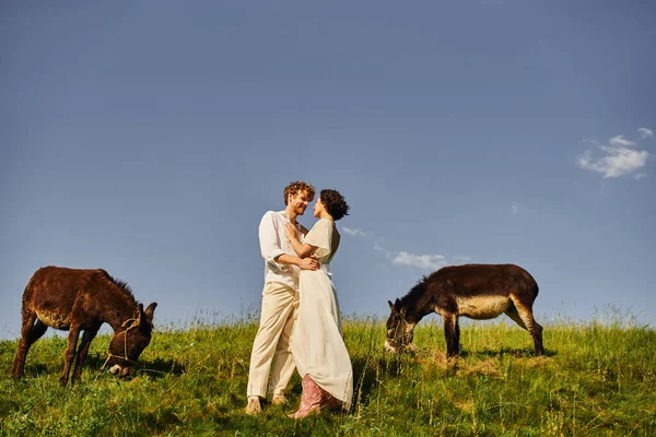 Feliz pareja multiétnica recién casada abrazando cerca de burros de pastoreo, entorno rural idílico - foto de stock