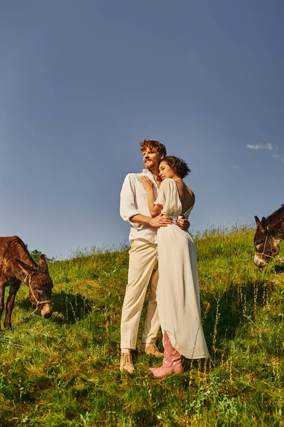 Alegres recém-casados inter-raciais abraçando e olhando para longe perto de burros pastando em terras agrícolas rústicas — Fotografia de Stock