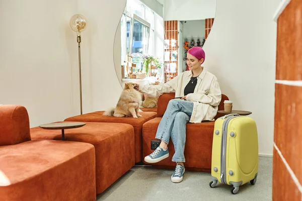 Donna sorridente con smartphone accarezzando pomerania spitz vicino alla valigia in accogliente salotto di pet hotel — Foto stock