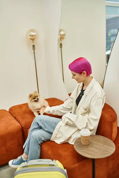 Mujer con estilo jugando con su propio perro mientras está sentado en el hotel de mascotas cerca de la bolsa de viaje y café para llevar - foto de stock
