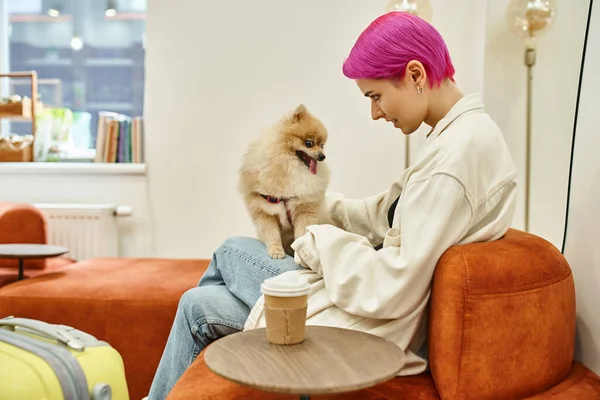 Smiling purple-haired woman cuddling cute pomeranian spitz near coffee to go in lounge of dog hotel — Stock Photo