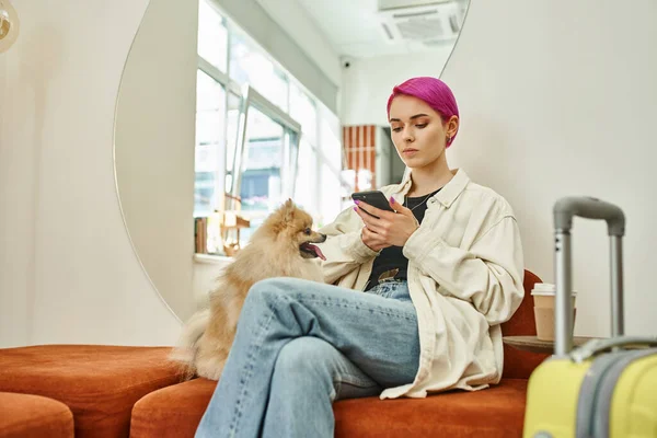 Mujer con red de peinado de moda en el teléfono inteligente cerca de pomeranian spitz en el moderno hotel de mascotas - foto de stock