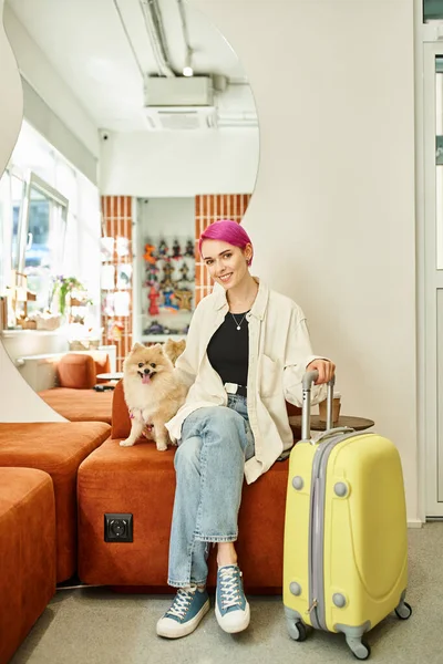 Улыбающаяся женщина с померанским шпицем и дорожной сумкой, сидящая в уютном вестибюле современного домашнего животного отеля — стоковое фото