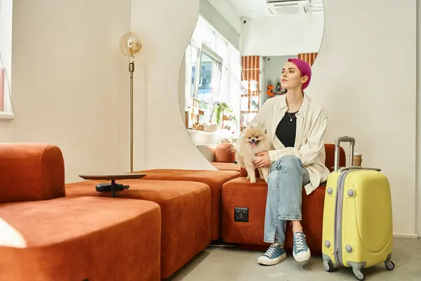 Mulher de cabelos roxos com spitz pomeranian e mala esperando no lobby do hotel pet — Fotografia de Stock