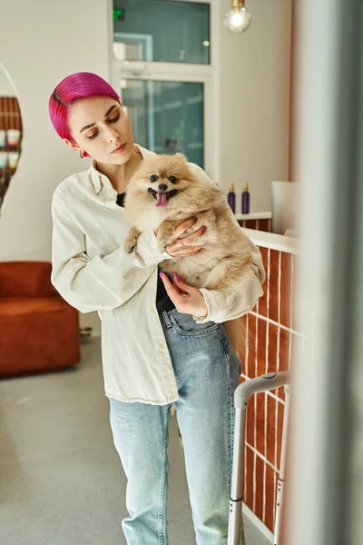 Жінка з фіолетовим волоссям тримає і обіймає португальський шпіц біля рецепції в готелі для домашніх тварин — стокове фото