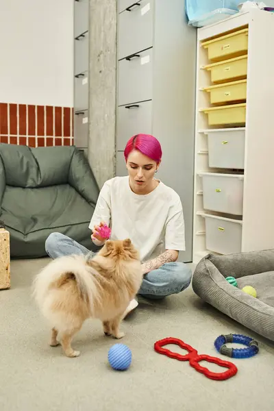 Niñera de mascotas sentada en el suelo con juguete y jugando con escupitajos pomeranianos en hotel de perros, interacción - foto de stock