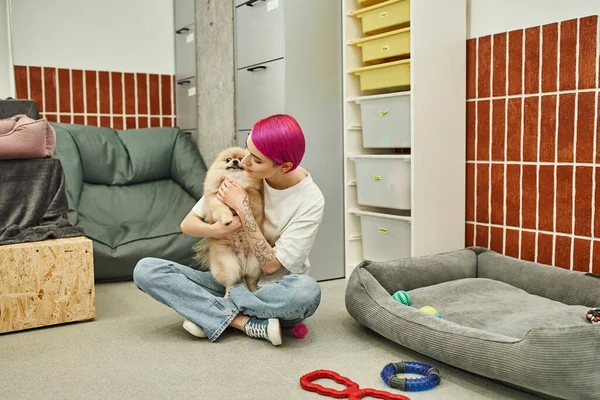 Amorevole caregiver abbracciando pomerania spitz vicino giocattoli e morbido letto cane in accogliente pet hotel — Foto stock