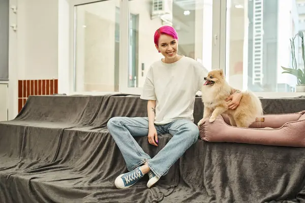 Felice ed elegante dog sitter femminile che abbraccia spitz pomerania in morbido letto di cane in moderno pet hotel — Foto stock