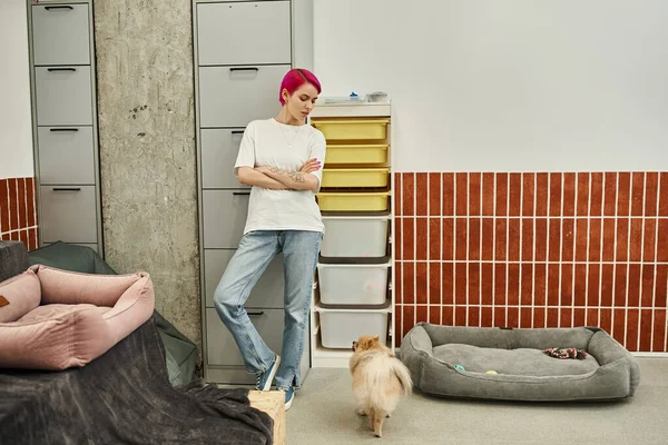 Hotelangestellte mit verschränkten Armen beim Blick auf verspielte Pommernspitze, hundefreundliches Konzept — Stockfoto