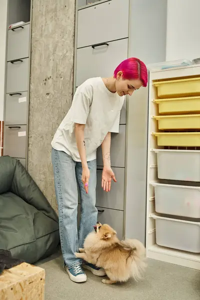 Chien souriant sitter étirant les mains à l'adorable spitz poméranien dans un hôtel pour animaux de compagnie confortable et moderne — Photo de stock